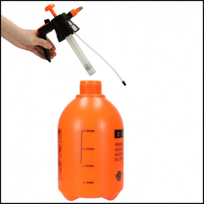Pulvérisateur à pression manuelle de jardin 2L