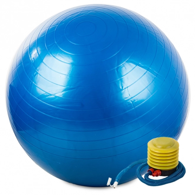 Balle de gymnastique Fitness 65 cm avec pompe