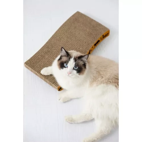 Griffoir Horizontal pour Chats Purlov 22037