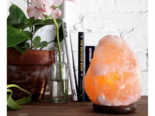 Lampe de sel himalayenne grande ioniseur