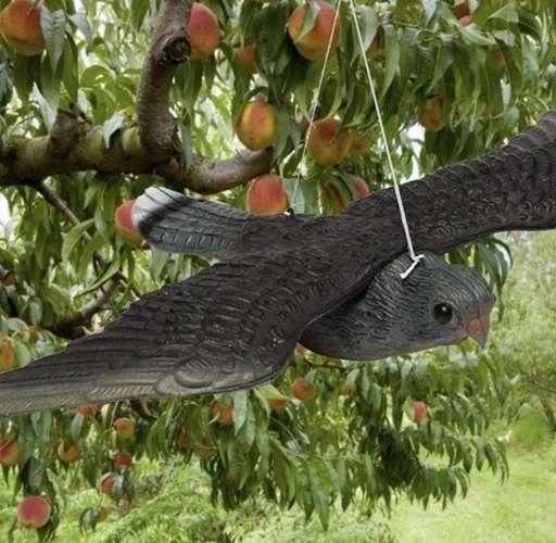 Attrape-Faucon pèlerin - Répulsif à oiseaux