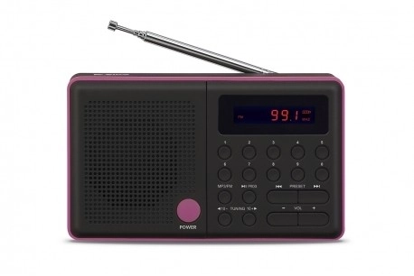Radio Pliszka USB FM noir