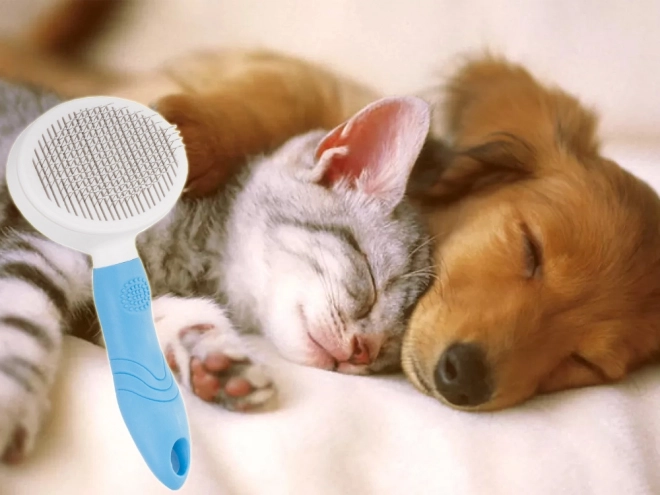 Brosse auto-nettoyante pour chiens et chats
