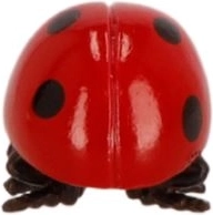 Détails réalistes et surface brillante