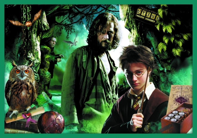 Puzzle Harry Potter - Dans le monde d'Harry Potter 10 en 1
