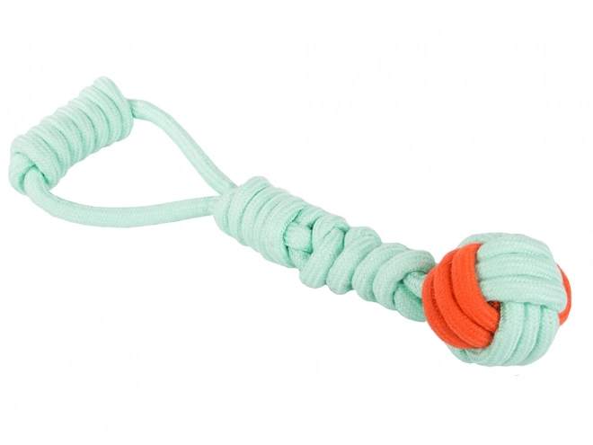 Longue corde à tirer pour chiens