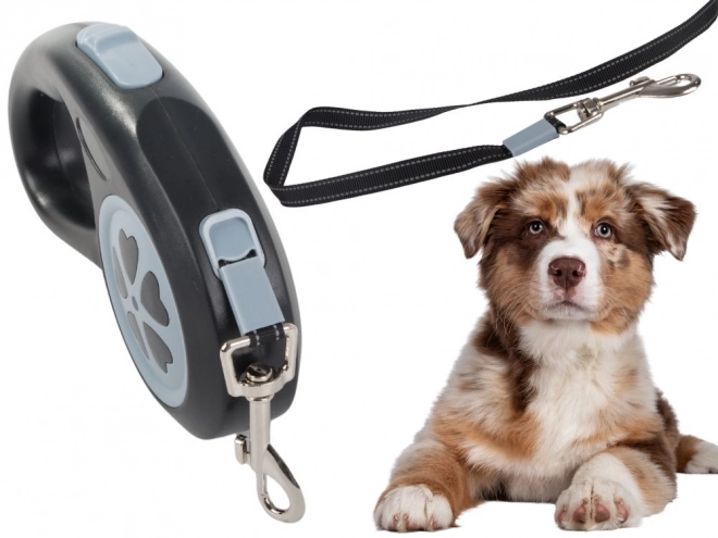 Laisse rétractable automatique pour chiens 5m jusqu'à 15kg