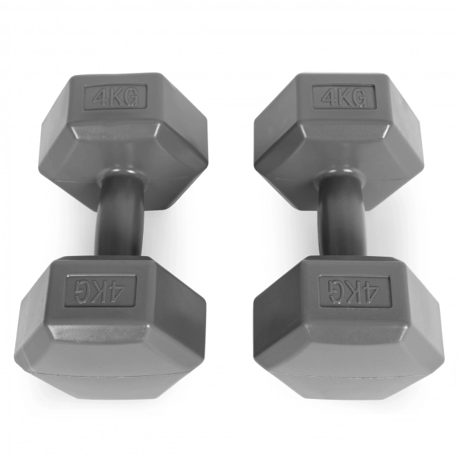 Haltères hexagonales 2x4 kg grises ModernHome
