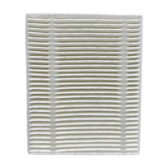 Filtre HEPA pour Roidmi EVE CC