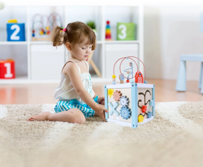 Tri de cubes en bois avec blocs Ecotoys