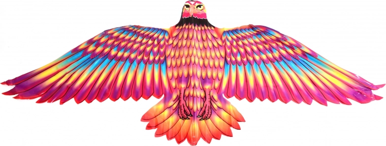 Couleurs vives pour une excellente visibilité