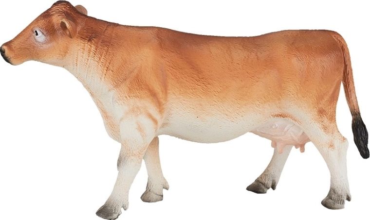 Conception durable et sûre