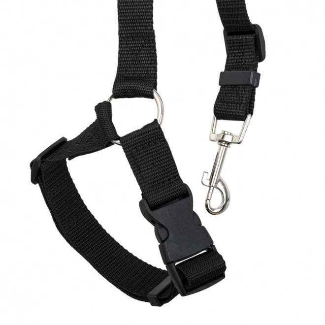 Laisse de sécurité pour ceinture de voiture pour chien et chat