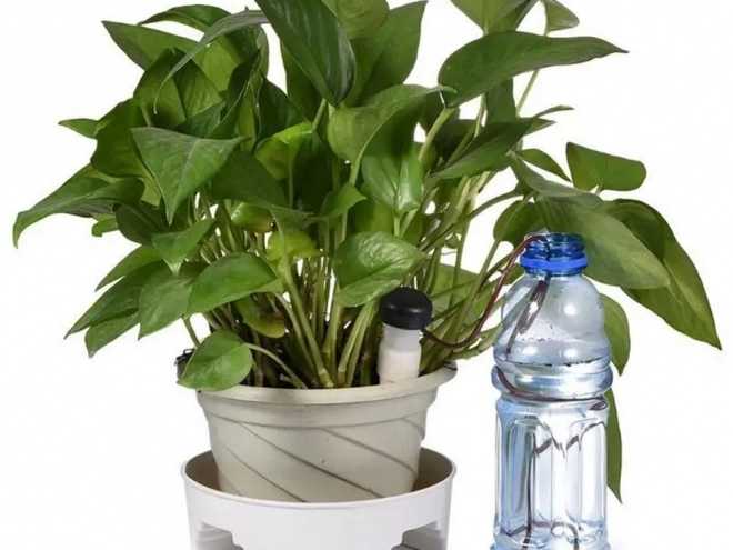 Système d'arrosage pour jardinières