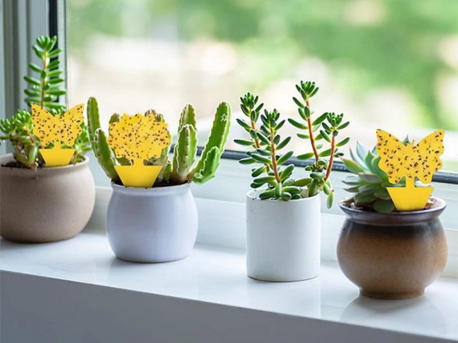 Autocollants adhésifs jaunes pour pots de fleurs