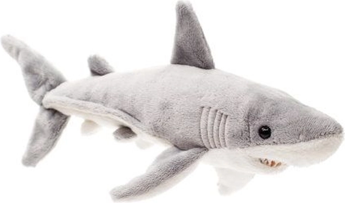 Taille idéale 26 cm