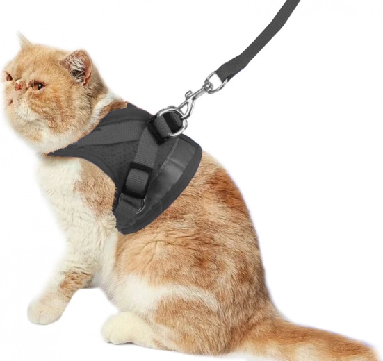 Conception sans pression pour un confort maximal