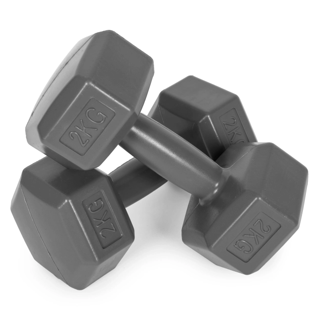 Haltères Hexagonales ModernHome 2x2 kg gris