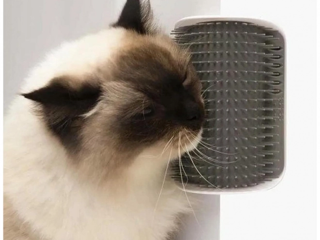 Brosse d'angle pour chats avec herbe à chat