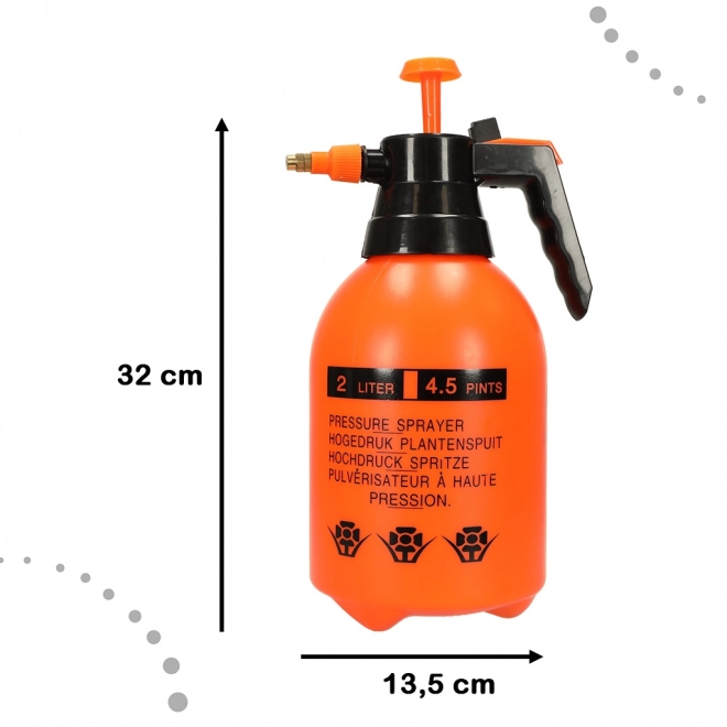 Pulvérisateur à pression manuelle de jardin 2L