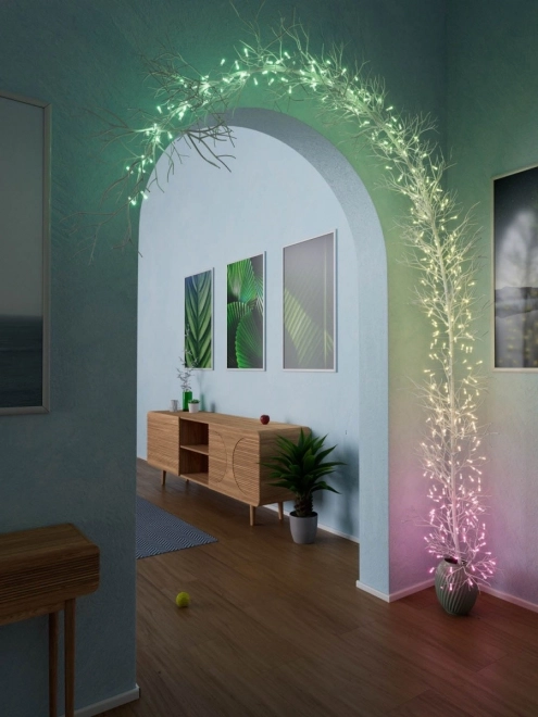 Guirlandes lumineuses intelligentes décoratives USB-C (Bonbons) 100 LED RGB, bougies, câble vert, 6 m