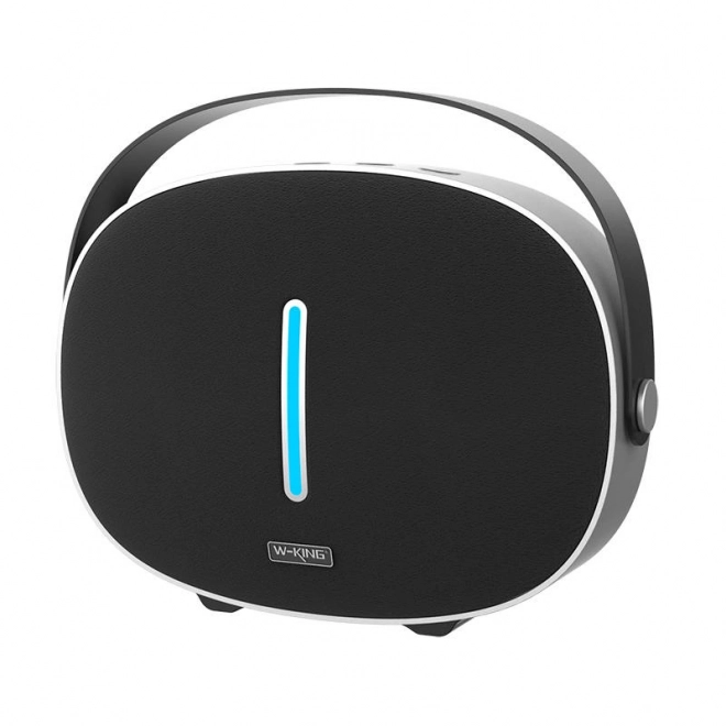 Haut-parleur Bluetooth sans fil W-KING T8 30W (noir)
