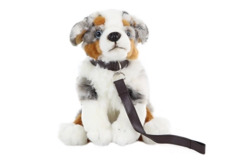Berger Australien en Peluche avec Laisse