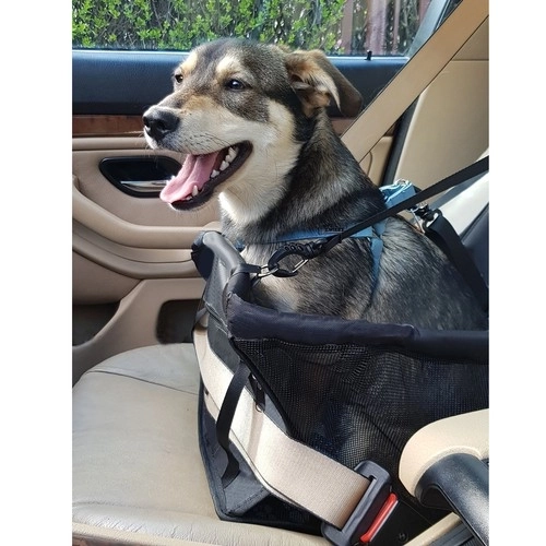 Boîte de transport Purlov pour animaux dans la voiture