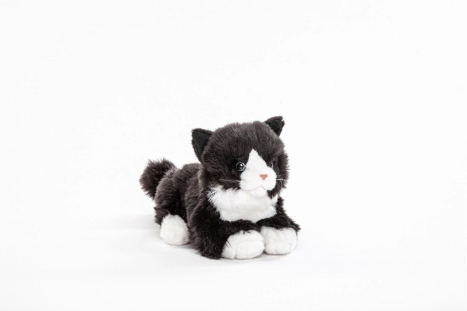 Chat en Peluche sonore 23 cm