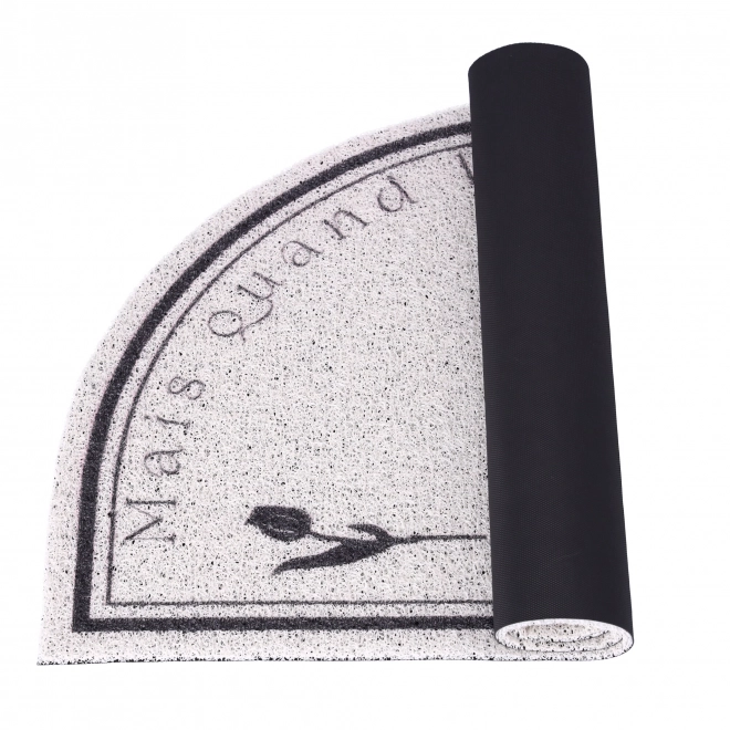Tapis, paillasson, paillasson antidérapant 60 x 90 cm type 3