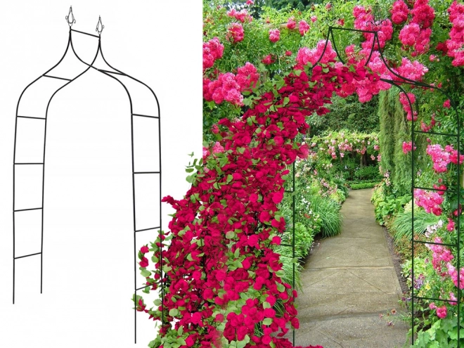Pergola de jardin pour rosiers