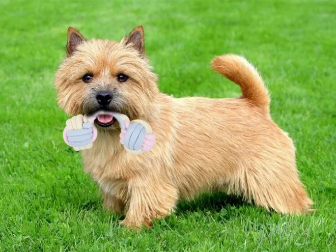 Jouet à tirer pour chiens - Os textile résistant