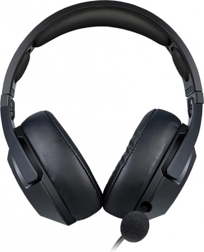 Microphone haute sensibilité