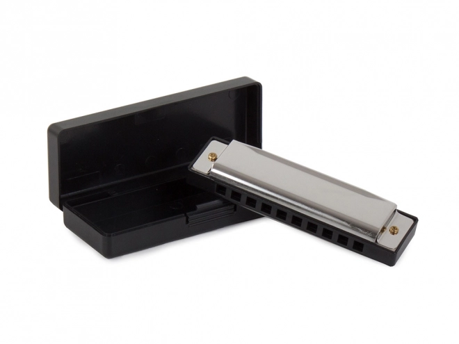 Harmonica en métal en C majeur avec étui