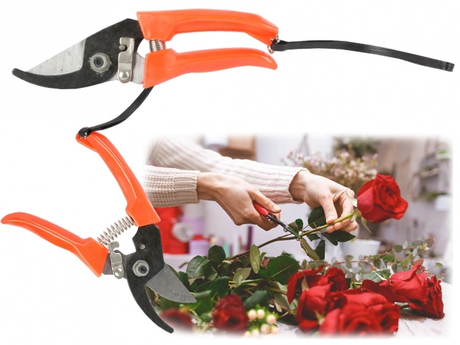 Cisailles de jardin pour arbustes