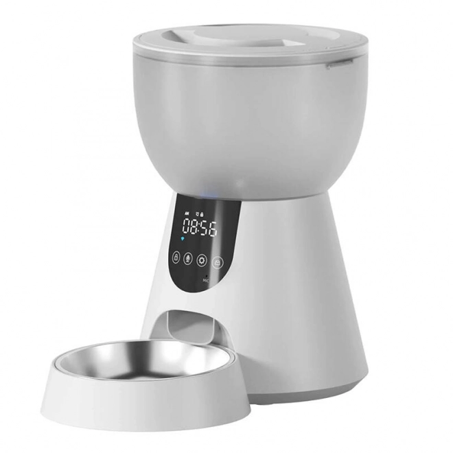 Distributeur Automatique LED de Nourriture et Fontaine d'Eau Petwant