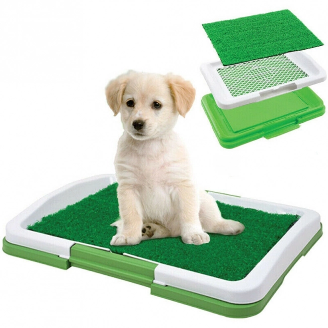 Herbe d'apprentissage aux toilettes pour chiots - 34 x 47 x 6 cm