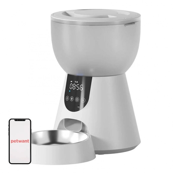 Distributeur Automatique LED de Nourriture et Fontaine d'Eau Petwant