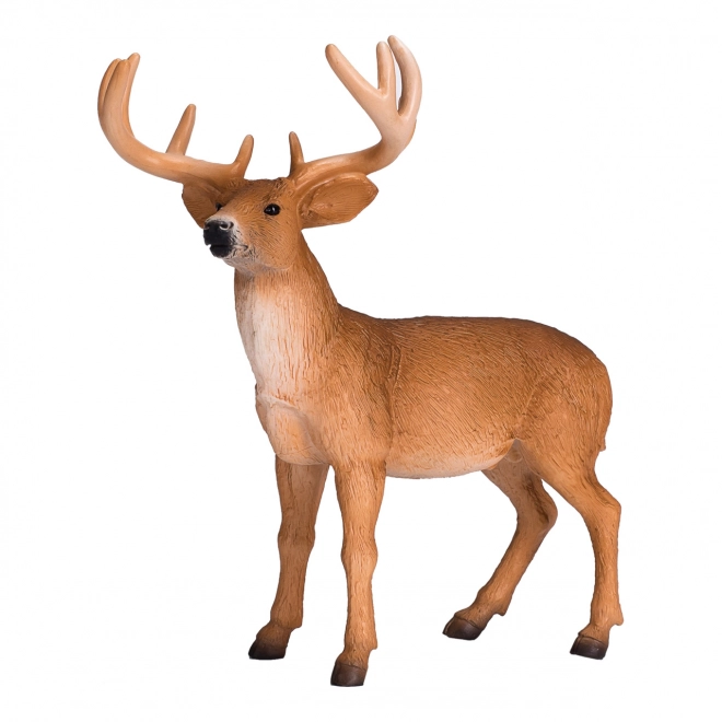 Mojo Animal Planet Cerf à queue blanche