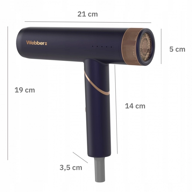 Sèche-cheveux 2en1 avec ionisation et régulation STELLA WEBBER