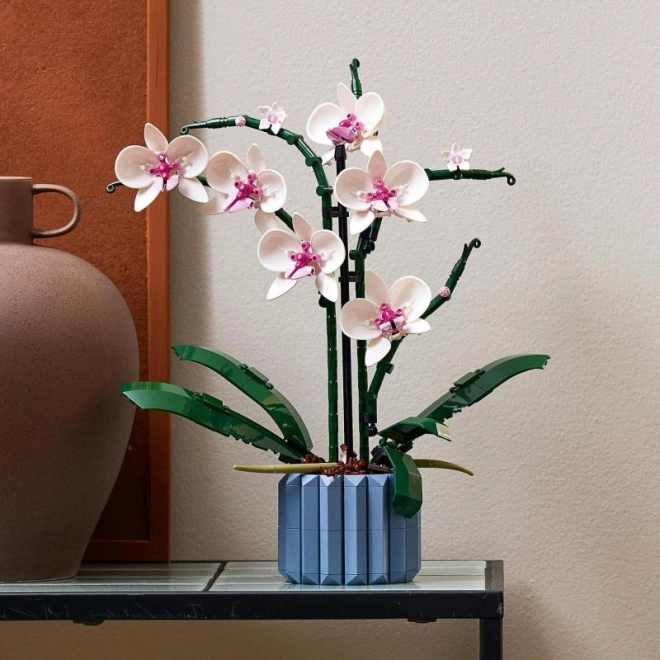 Pièces Pour Adultes Amateurs de Fleurs
