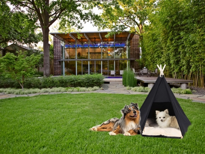 Maison de tente pour chiens et chats