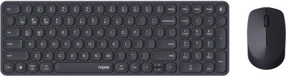 Souris polyvalente et confortable