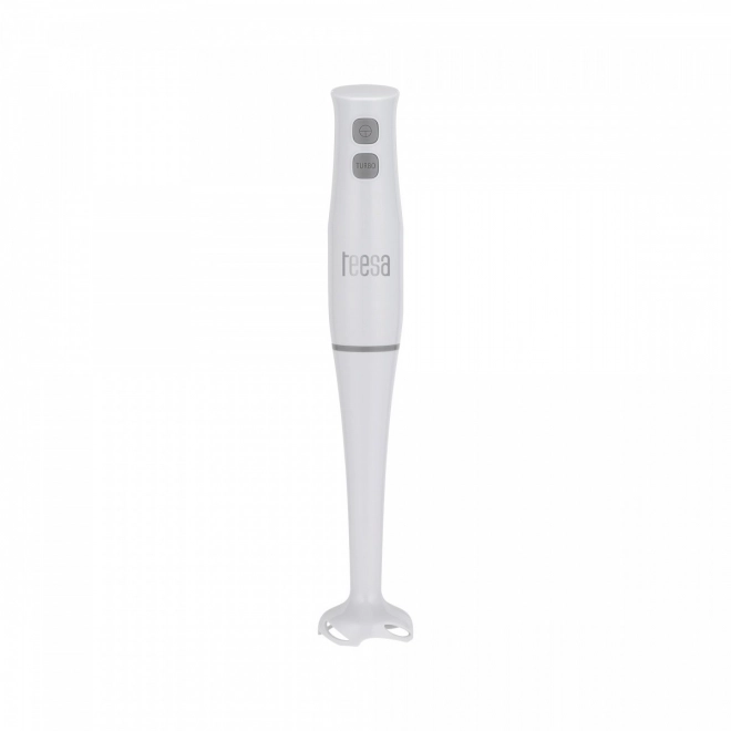 Mixeur plongeant Teesa 400W