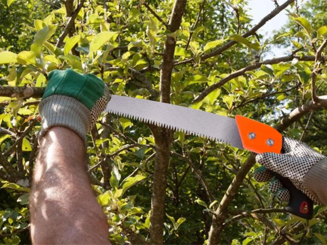 Scie à main de jardin avec étui