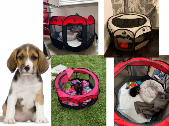 Parc pliant pour chiens et chats