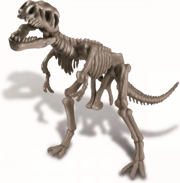 Assemblez un modèle réaliste de T‑Rex