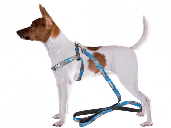 Laisse avec harnais confortable pour chiens et chats