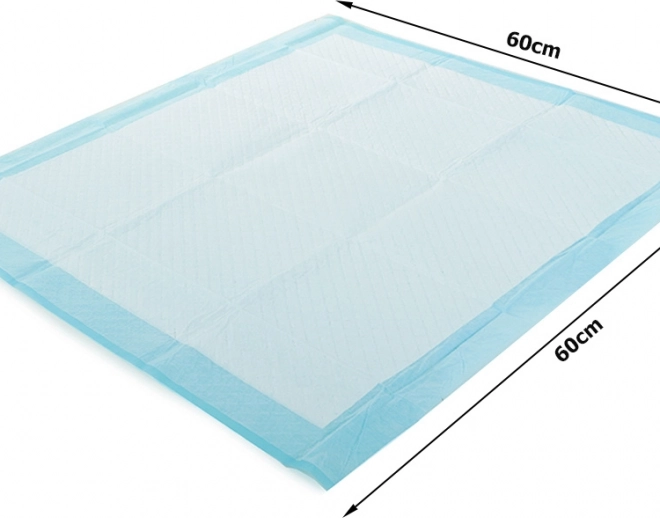 Dimensions idéales pour un usage quotidien