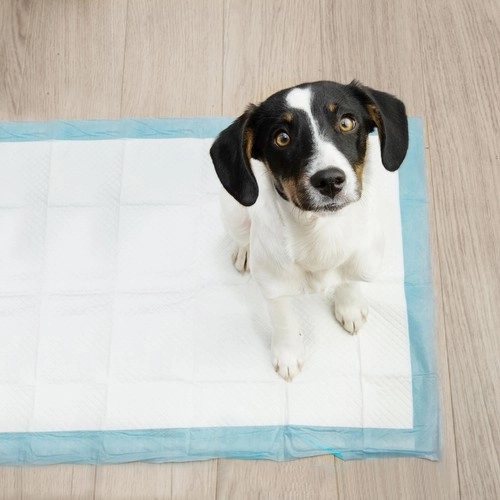 Matelas hygiénique absorbant pour animaux 60 x 40 cm - 100 pièces